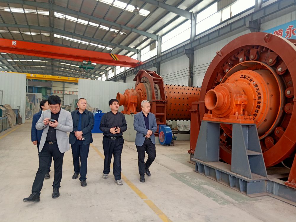 市領（lǐng）導來公司考察高低壓電機和永磁直驅球磨（mó）機